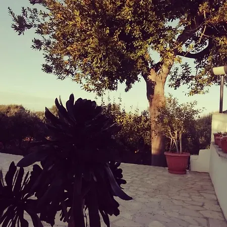 Villa La Casa Di Nonno Fasano Exterior foto