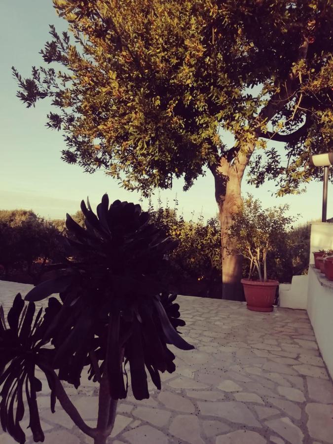 La Casa Di Nonno Holiday home *