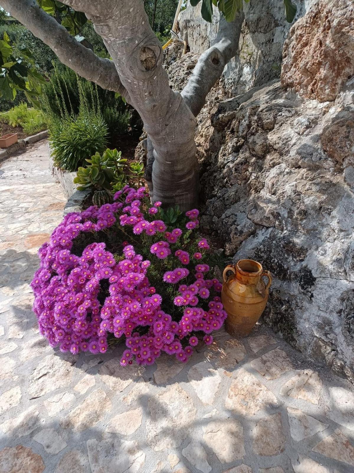 La Casa Di Nonno Holiday home Fasano